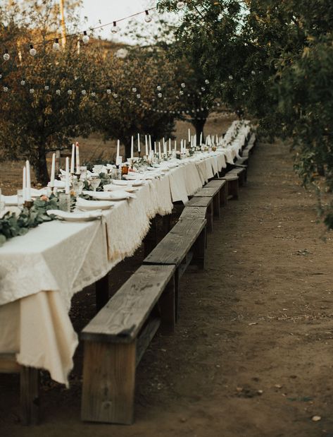 Simple Beautiful Wedding, Family Style Table, Long Table Wedding, Diy Wedding Reception, Reception Tables, Outdoor Dinner, Wedding Reception Tables, Golden Girl, Reception Table