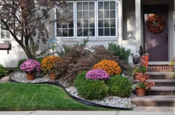 Best Flowers to Plant in North Texas - Top 5 Blooming Flowers Curb Appeal Flower Beds, Low Maintenance Landscape Design, Low Maintenance Landscape, Easy Garden Ideas Landscaping, Front Yards Diy, Texas Landscaping, Fall Landscaping, Curb Appeal Landscape, Front Yards Curb Appeal