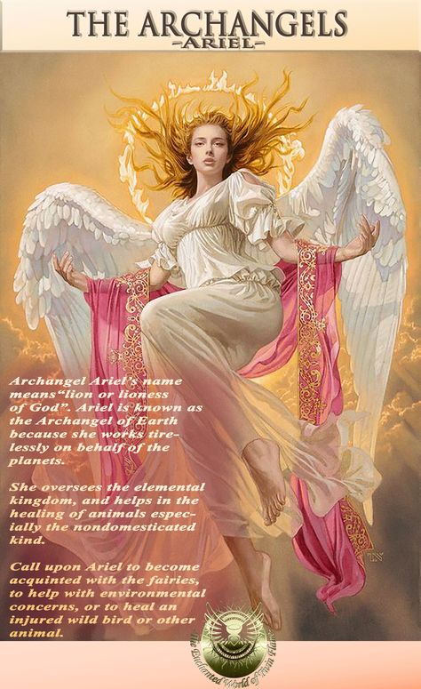 Arch Angels Pictures, Archangels Pictures, Arch Angel Ariel, Archangel Ariel, Arch Angels, Spiritual Angels, Archangel Prayers, Angel Spirit, Angel Blessings