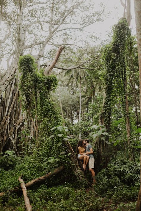 Oahu Hawaii Anniversary Photographer India Earl Hawaii Forest, Hawaii Adventures, Hawaii Pictures, Forest Engagement, Hawaii Photography, Hawaii Honeymoon, Location Inspiration, Anniversary Photos, Engagement Photo Inspiration