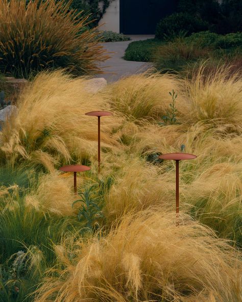 Marset Ginger, Moderne Have, Landscape Lighting Design, Outdoor Path, Outdoor Path Lighting, La Rive, Bollard Lighting, House Landscape, Landscape Lighting