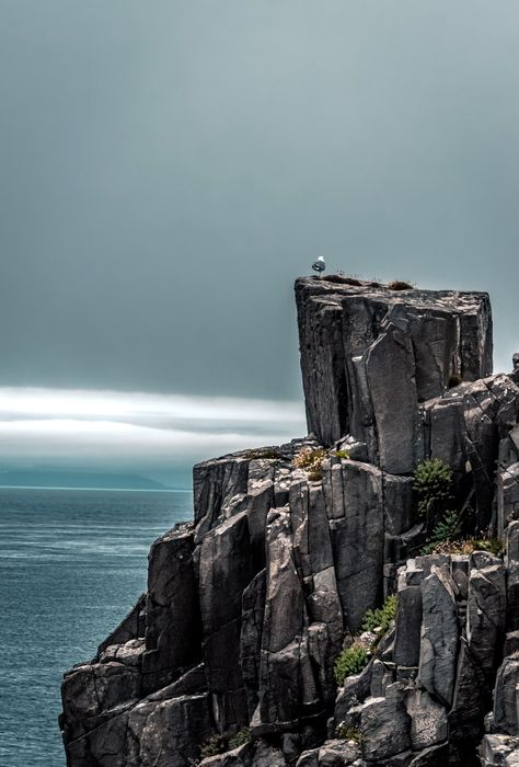 person standing on rock formation near body of water during daytime photo – Free Isle of skye Image on Unsplash Backgrounds Reference, Rock Cliff, Composite Images, The Archetypes, Az Art, Giant's Causeway, Gray Rock, Free High Resolution Photos, Mountain Photos