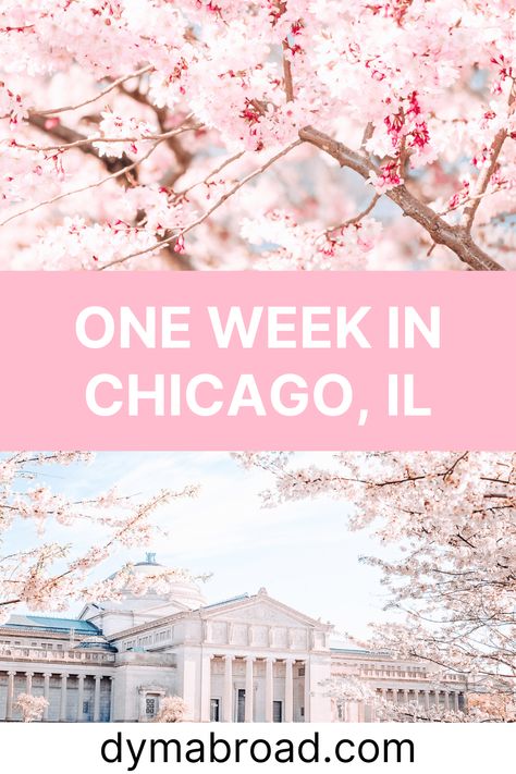 3 Days In Chicago, Usa Itinerary, Chicago Itinerary, Skydeck Chicago, Chicago Vacation, Chicago Trip, Chicago Riverwalk, Chicago History Museum, Visit Chicago