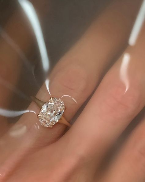 Inspo is watercolor 💦 The original Mila set with a lab created 2.09ct antique oval diamond in 14k yellow gold featuring the sweetest swoopy tapered shank ✨ Tapered Shank Engagement Ring, Oval Engagement Ring Tapered Band, Tapered Engagement Ring, Engagement Rings Oval, Instagram Inspo, Oval Diamond, Gold Bands, The Original, Gold Rings