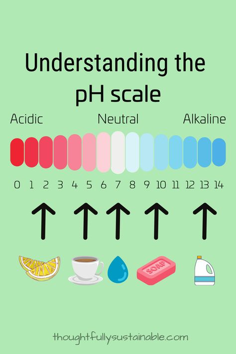 Chemistry Acids And Bases, Biology Terms, Chemistry Molecules, Biology Topics, Cleaning With Vinegar, Ph Scale, Acids And Bases, Organic Chemistry Study, Gcse Chemistry