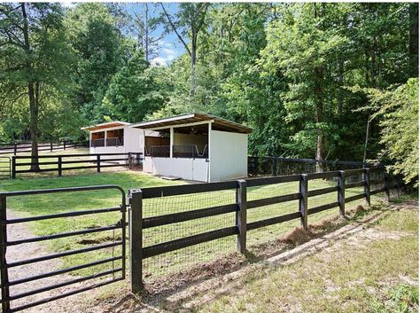 Small Horse Paddock, Small Horse Pasture, Small Horse Property, Paddock Ideas, Simple Horse Barns, Small Horse Barns, Horse Pens, Barn Layout, Horse Farm Ideas