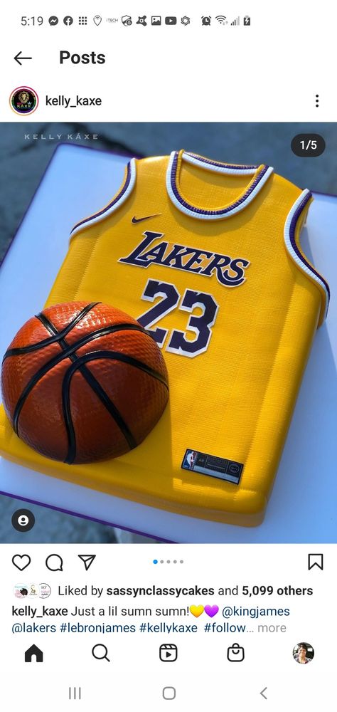 Lebron James Birthday, Lebron James Kids, Basketball Birthday Cake, Lebron James Basketball, Lion Birthday, Basketball Cake, Sport Cakes, Sweet 16 Cakes, Basketball Birthday