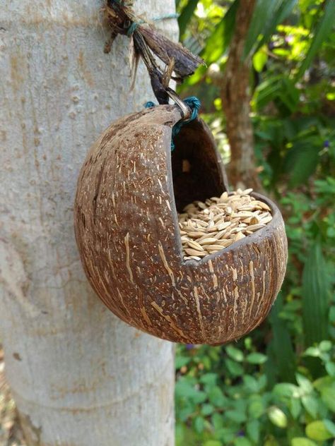 Bird Enrichment, Wooden Roof, Coconut Shell Crafts, Bird Home, Homemade Bird Feeders, Diy Bird Feeder, 강아지 그림, Shell Crafts Diy, Bottle Garden