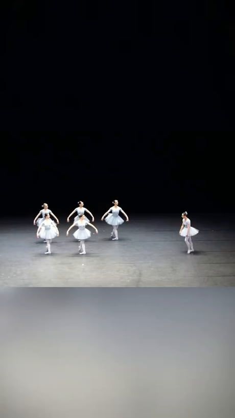 Funny Ballet, Vienna State Opera, Meme Pictures, New Memes, Healthy Life, Beautiful Art, Make Your Day, Opera, Funny Memes