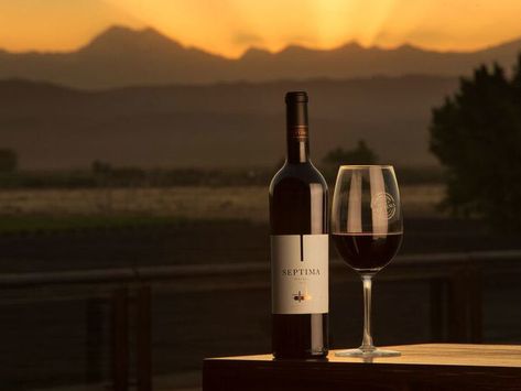 Whether you're drinking for Malbec World Day or just looking for a solid bottle to pair with dinner, these wines won't do you wrong. Beer Calories, Malbec Wine, Wine Preserver, Wine Sale, Wine Baskets, Cheap Wine, Wine Case, Buy Wine, Wine Clubs