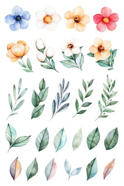 Sketch Simple, Art Drawing Sketch, Watercolor Flower Art, 수채화 그림, Diy Watercolor, Botanical Watercolor, Watercolor Leaves, Watercolor Inspiration, Watercolor Drawing