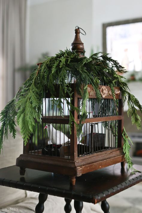 Birdcage Christmas Decor, Christmas Bird Cage Decor, Bird Cage Christmas Decor Ideas, Christmas Birdcage Ideas, Christmas Bird Cage, Birdcage Decor Ideas, Birdcage Decor, Bird Cage Design, Decorating Ideas For Christmas