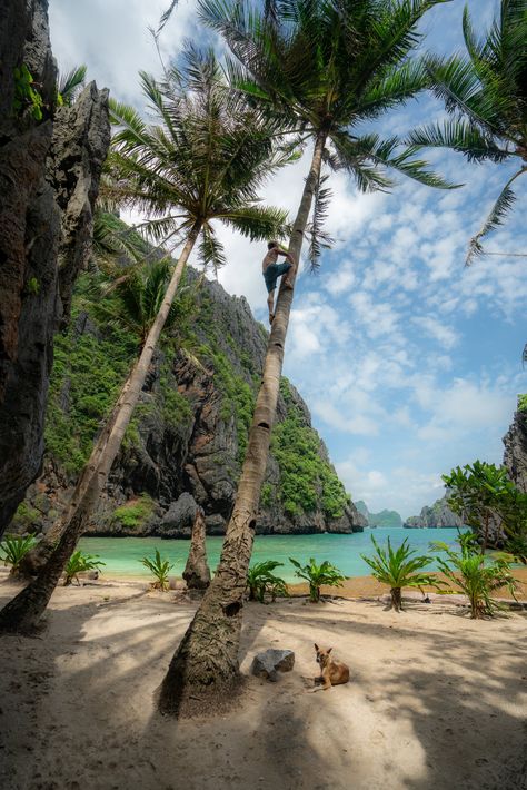 best things to do el nido Beaches In The Philippines, Philippines Country, Philippines Palawan, Philippines Vacation, Visit Philippines, Philippines Beaches, Palawan Philippines, Philippines Travel, Palawan