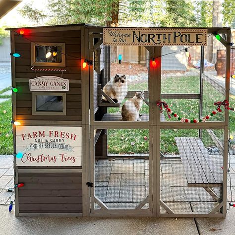 PRICES MAY VARY. 😽【Vertical Climbing Enclosure】Catio with 69" high vertical climbing space for your cat to explore! The abundant vertical space releases the cat's jumping nature. 😽【Multi-tier House】4 levels for your cat to enjoy the warm sunshine or climb to the very top. 5 wooden shelves satisfies the cat's need for jump, stare, and nap. 😽【Window Cat Kennel】A removable back door allows you to connect the cage to the window. Keep cats safe in and out. The height from window to ground is 35.6" Cat Enclosure Outdoor, Wooden Cat House, Cat Kennel, Cat Patio, Cat Cage, Outdoor Cat Enclosure, Cat House Diy, Outdoor Cat House, Libra Women