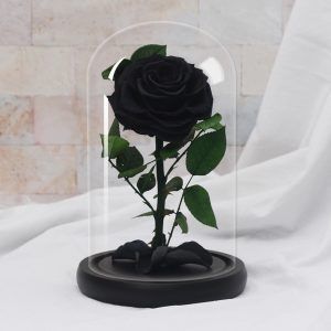 Beauty And Beast Rose, Rose In Glass Dome, Rose Dome, Real Rose Petals, Forever Wedding, Enchanted Rose, Forever Gifts, Types Of Roses, Forever Rose