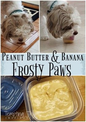 Homemade Frosty Paws, Frosty Paws Recipe, Frosty Paws, Greek Yogurt And Peanut Butter, Peanut Butter Yogurt, Peanut Butter And Banana, Christmas Boxes, Wonderful Weekend, Peanut Butter Banana