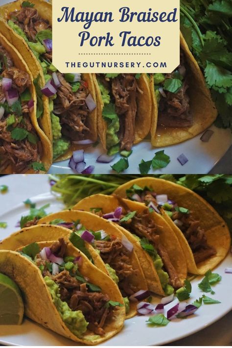 Mayan Food, Honduran Recipes, Belize Food, Guatemalan Recipes, Delicious Family Meals, Pork Tacos, Braised Pork, Whole Grains, Taco Recipes