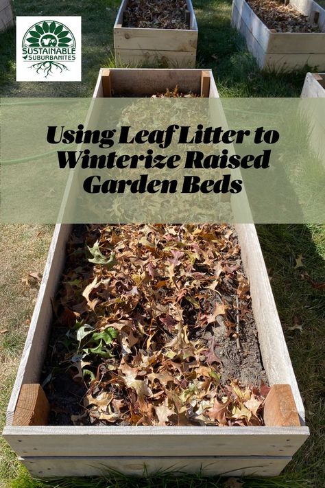 Winterized Garden Bed Fall Gardening, Vegetable Garden Raised Beds, Gardening 101, Garden Bed, The Leaf, Landscaping Plants, Raised Beds, Raised Garden Beds, Raised Garden