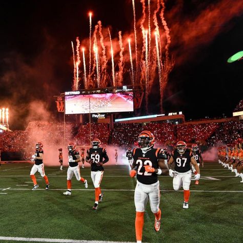 Bengals Superbowl, Bengals Man Cave, Cincinnati Bengals Football, Bengals Football, Nfl Football Pictures, Joe Burrow, Ohio State Football, Senior Night, Orange Aesthetic