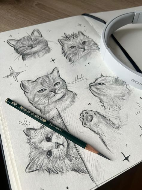 Cat Art Sketch, Pencil Sculpture, Studies Drawing, Sketches Cute, Cat Sketches, Sketch Cat, Marriage Proposal Ideas, Pencil Carving, Cute Sketch