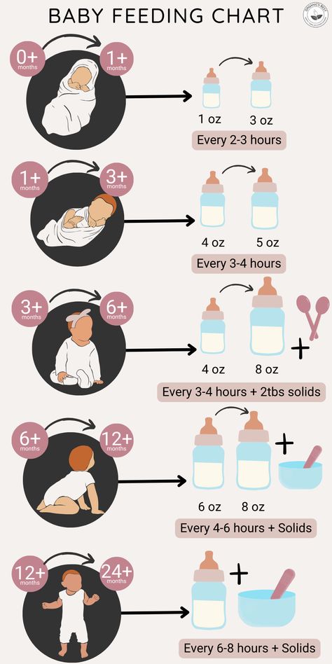 How Much Baby Eats, Newborn Temperature Chart, How To Take Care Of A Newborn, New Mom Guide, Newborn Formula Feeding Chart, Things To Know About Newborns, Baby Breastmilk Intake Chart, Baby Girl Things Newborn, Newborn Things To Know