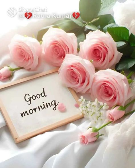 Very Good Morning Images, Good Morning Quotes Friendship, Good Morning Rose Images, Good Morning Smiley, Cute Good Morning Images, Good Morning Flowers Quotes, Good Morning Beautiful Flowers, Good Morning Roses, Good Morning Wallpaper