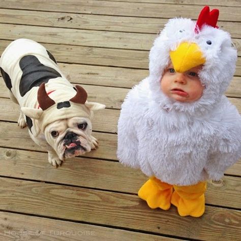 Dog and Kid Halloween Costumes That Are Cute Beyond Words Bulldog Halloween Costumes, Cute Dog Halloween Costumes, Animal Halloween Costumes, Pet Things, Clever Halloween Costumes, Animal Costumes, Boy Halloween Costumes, Toddler Halloween Costumes