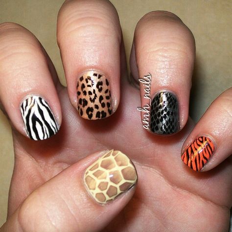 Zoo day nails Wild One Nails, Zoo Themed Nails, Safari Theme Nails Green, Safari Theme Acrylic Nails, Safari Nails Jungle, Zoo Nails, Nails Safari Art Designs, Zoo Nails Animals, Animal Nail Designs