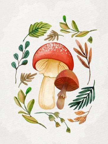 Size: 12x9in Mushroom And Leaves 1We have more Kimberly Allen Posters. Choose from our catalog of over 500,000 posters! Mushroom And Strawberry Art, Red Mushroom Painting, Red And White Mushrooms Art, Mushrooms Illustration Botanical, Autumn Mushrooms Illustration, Fungi Art, Mushroom Crafts, Art Print Display, Autumn Art