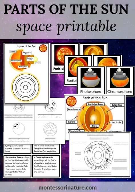 Parts of the Sun 3 Part Cards Poster Student Booklets - Space Printables - Montessori Nature Parts Of The Sun Activity, Parts Of The Sun, Lapbooks Free, Science Lapbooks, Space Books For Kids, Space Vocabulary, Space Printables, Sun Activity, Nature Printables