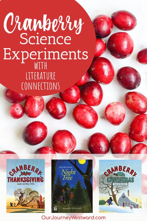 Cranberry Science Experiments for Kids + Literature Connections Cranberry Thanksgiving Book, Cranberry Thanksgiving, Christmas Picture Books, Science Experiments For Kids, Science Experiments For Preschoolers, Experiments For Kids, Thanksgiving Preschool, Chemistry Experiments, Cooking Classes For Kids