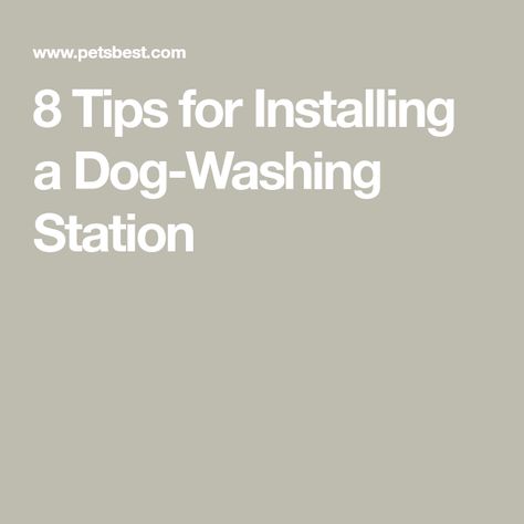 8 Tips for Installing a Dog-Washing Station Doggie Station, Washing Station, Dog At Home, Dog Washing Station, Laundry Room Remodel, Pet Door, Puppy Stuff, Dog Wash, Dog Bath