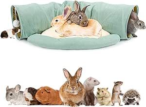 Bunny Hideout, Bunny Tunnel, Rabbit Tunnel, Cats Kittens, For Cats, Guinea Pigs, Pigs, Rabbits, Kittens