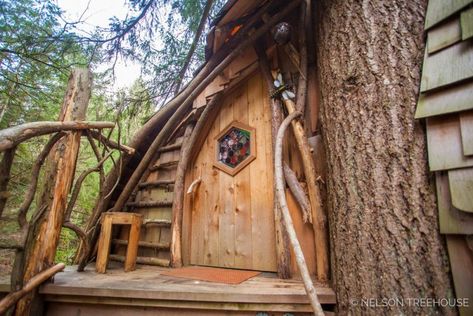 The design and the onsite structure on this beehive tree house are exquisite, and a rare architecture that you’ll come across. Treehouse Inside, Treehouse Masters, Types Of Dreams, Backyard Trees, Tree Fort, Honeycomb Shape, Tree House Designs, Wood Building, Unusual Homes