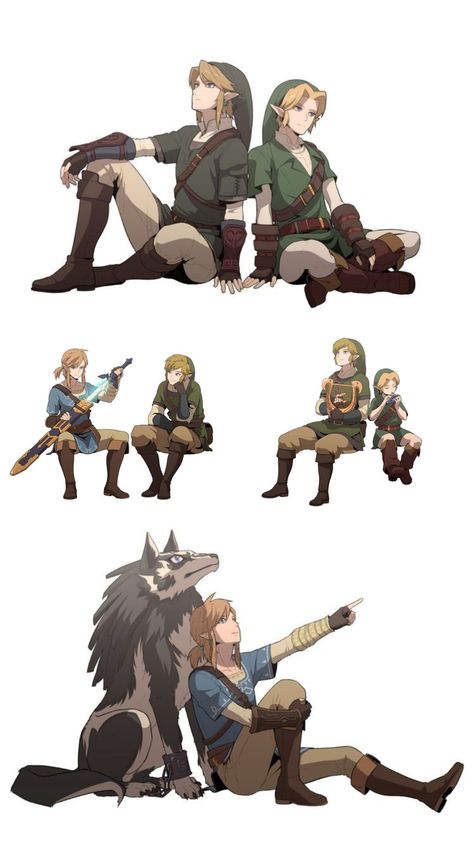 Link X Y/n, Twilight Princess Link, Loz Link, Linked Universe, Fantasy Story Ideas, Legend Of Zelda Memes, Zelda Funny, Zelda Botw, Nintendo World