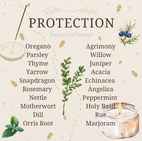 Herb Meanings, Protection Herbs, Plant Magick, Witchcraft Knowledge, Herbs For Protection, Magic Energy, Goddess Magick, Candle Magic Spells, Witchcraft Herbs