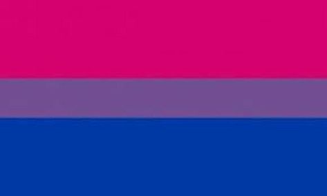 💖💜💙 Bisexual Pride Flag, Bi Flag, Bisexual Flag, Lgbtq Flags, Lgbt Flag, Pride Flag, Lgbt Pride, Pride Flags, Art Studio