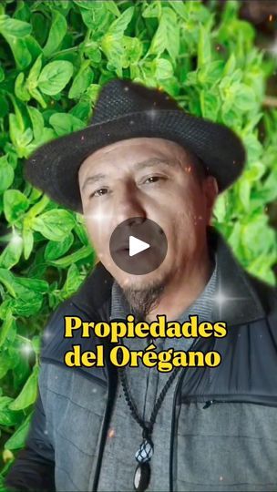 523K views · 23K reactions | PROPIEDADES MÁGICAS DEL OREGANO🌿 #parati #oregano #plantasmedicinales #plantasdeinterior #plantascurativas #fip #medicinanatural #hogar #salud... | By Maestro Yugua | Facebook Cleansing Herbs, Oregano, Jamaica, Herbs