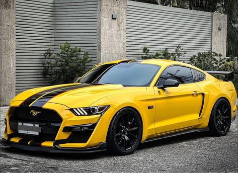 Ride Royalty: Unwrapping the World's Finest Luxury Automobile Yellow Mustang, Ford Company, Mustang Gt350, Ford Mustang 2015, Shelby Car, Shelby Gt350, Mustang 2015, Ford Mustang Car, Aesthetic Cool