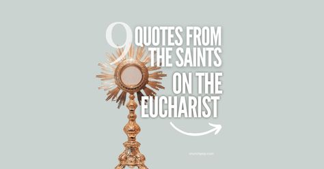 9 Powerful Quotes on the Holy Eucharist from the Saints Eucharistic Adoration Wallpaper, Quotes From Saints, Padre Pio Prayer, Father Mike Schmitz, Animated Bible, Maximilian Kolbe, Jesus Father, St Maximilian, Saint Teresa Of Calcutta