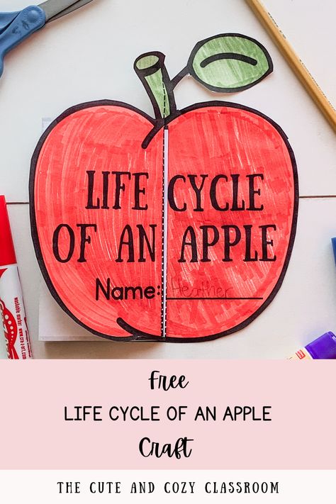 apple worksheets for preschool Life Cycle Worksheets Free Printable, Plant Life Cycle Free Printable, Life Cycle Crafts For Toddlers, Life Cycle Of An Apple Preschool, Life Cycle Of An Apple Printable Free, Life Cycle Crafts For Preschoolers, Life Cycle Activities For Preschoolers, Apple Life Cycle Printable Free, Preschool Life Cycle Activities