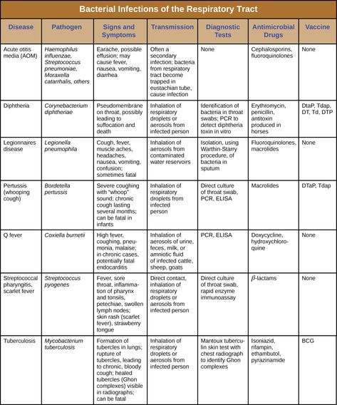 Streptococcus Pneumoniae, Dna Technology, Scanning Electron Micrograph, Bacterial Diseases, Upper Respiratory Infection, Medicine Studies, Bad Attitude Quotes, Strep Throat, Medical Facts