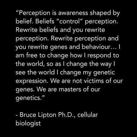 Perception is in the eye of the beholder Felton California, Psychologist Quotes, Bruce Lipton, Simulation Theory, Awakening Quotes, Psychology Quotes, Spiritual Words, Healing Modalities, My Philosophy