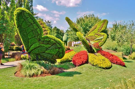 Alternanthera (Butterflies) | Karl Gercens | Flickr Butterfly Park, Park Signage, Unique Garden Art, Urban Landscape Design, Garden Park, Flower Landscape, Unique Gardens, Outdoor Inspirations, Real Plants