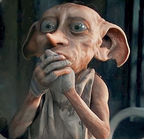 Dobby Harry, House Elf, Free Dobby, Dobby Harry Potter, Social Circles, Hogwarts Legacy, Harry Potter Actors, Harry James Potter, George Weasley