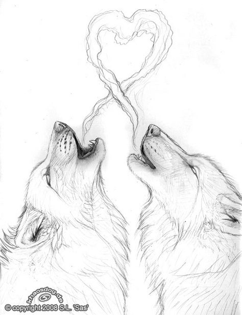 Lup Singuratic, Wolf Sketch, Couple Drawing, Drawing Eyes, Wolf Tattoo Design, Wolf Love, Wolf Drawing, Wolf Pictures, Wolf Tattoos