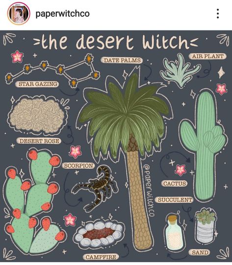 Desert Witch Art, Desert Witchcraft, Bill Dip, Desert Witch, Witch Types, Candle Magick, Magical Life, Witch Spell, Witch Magic