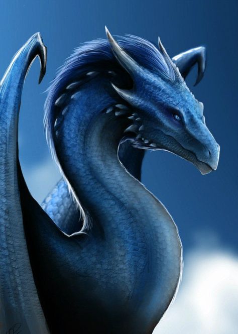 Sapphiros Inheritance Cycle, Dragon Artwork Fantasy, Dragon's Lair, Dragon Sketch, Cool Dragons, Water Dragon, Dragon Rider, Dragon Pictures, Dragon Artwork