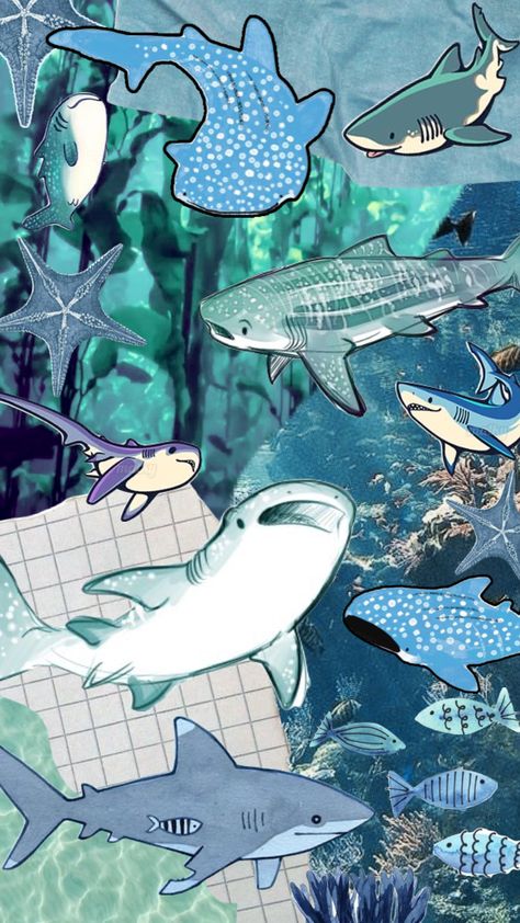 #shark #ocean #oceanaesthetic #beach #water #sharks #fish #coral #sea #seashells Humans As Animals, Shark Background, Animals As Humans, Shark Wallpaper, Animal Art Ideas, Shark Pictures, Art Ideas For Kids, Marine Creatures, Shark Art