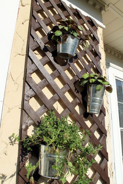 Lattice Planter.. use for my herbs, ivy & flowers.. on the privacy fence, next to grill on pallet. sturdy enough for a hanging basket? Apartment Patio Privacy, Lattice Ideas, Apartment Patio Gardens, Balcony Herb Gardens, Patio Privacy Screen, Privacy Plants, Patio Flowers, Patio Privacy, Balcony Flowers